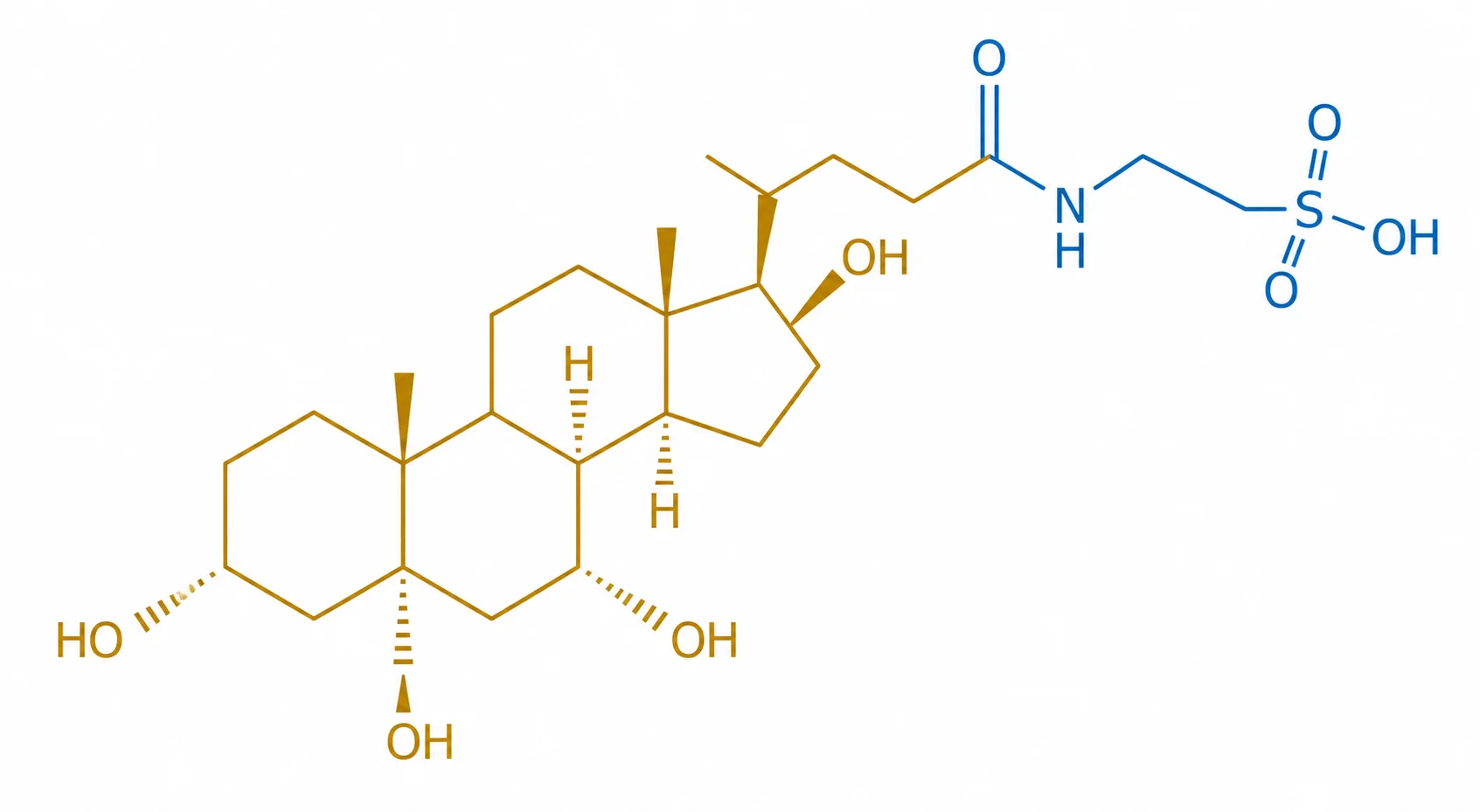Illustration de la structure moléculaire du TUDCA, acide biliaire conjugué aux propriétés hépatoprotectrices et neuroprotectrices